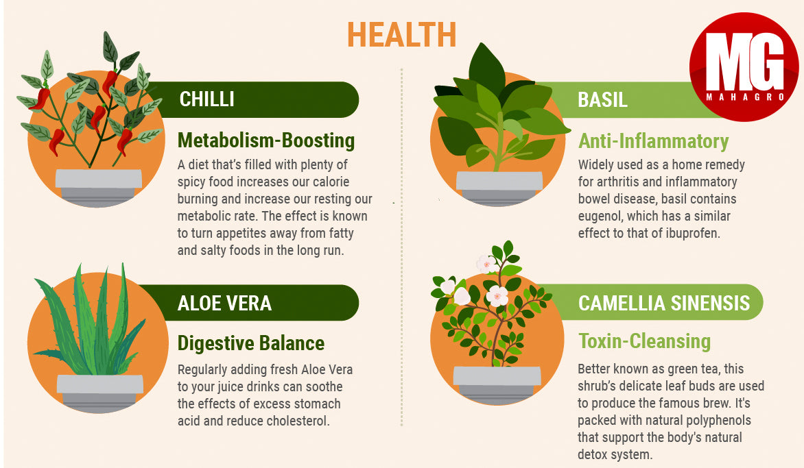 Plants that improve your health and well being – MahaGro®