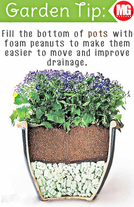 Amazing Garden tips!