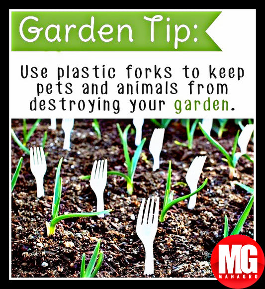 Amazing Garden tips!