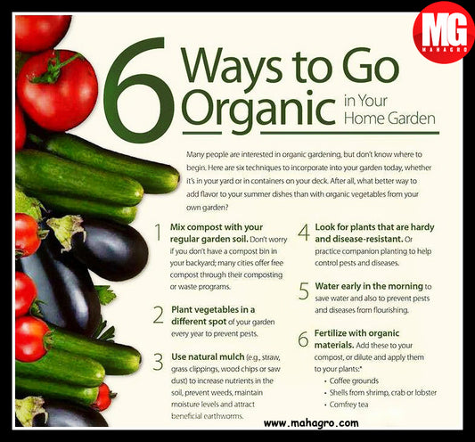 Go Organic & Grow Organic Today