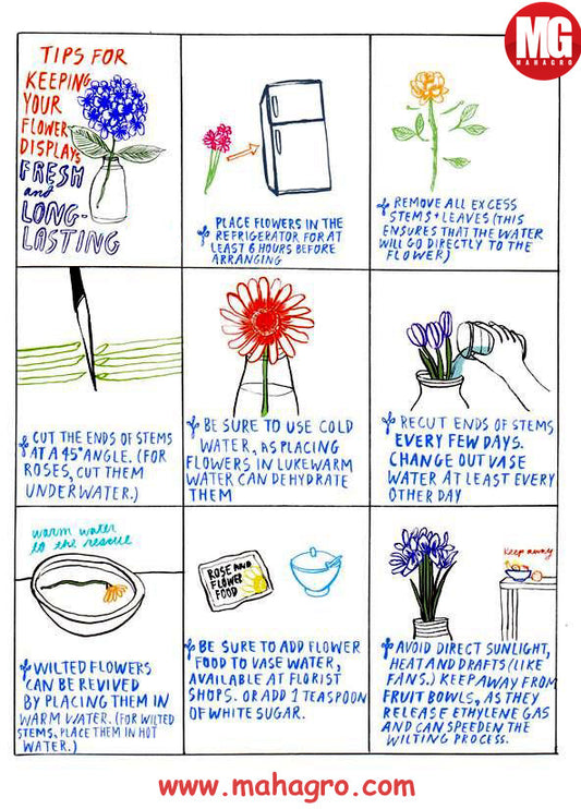 Tips for keeping your flowers fresh & long lasting